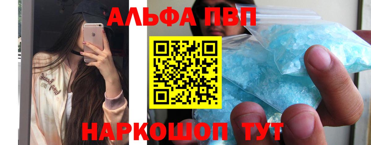 A-PVP СК КРИС Сыктывкар