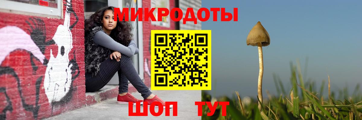 Псилоцибиновые грибы Psilocybine cubensis  Вход с VPN  Сыктывкар  Псилоцибиновые грибы MAGIC MUSHROOMS 